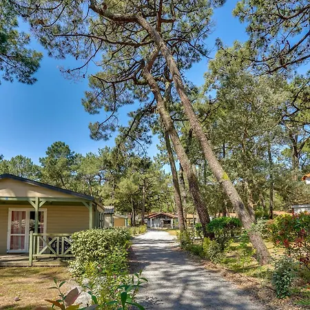 Nice In Holiday home