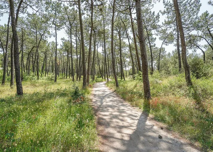 Stunning In Casa de Férias La Faute-sur-Mer